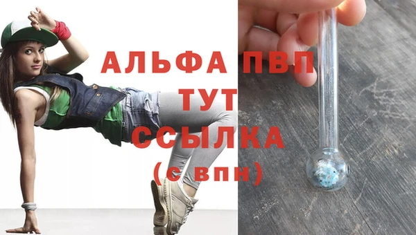 крисы Балахна